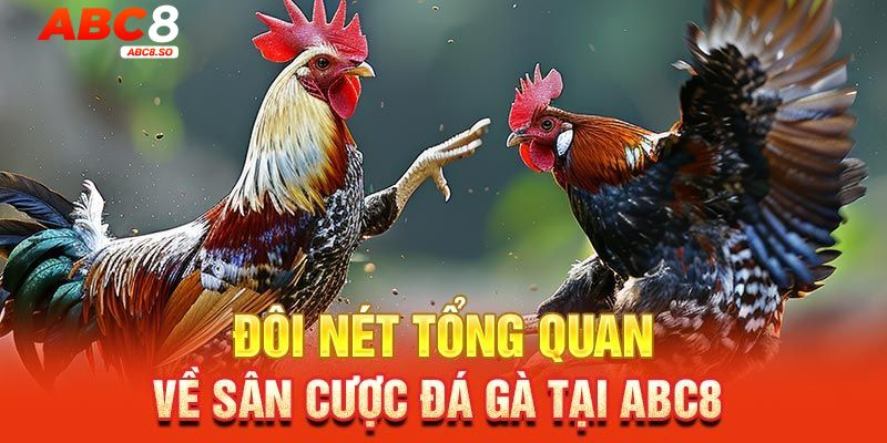 Những thông tin sơ lược về sảnh chơi đá gà ABC8