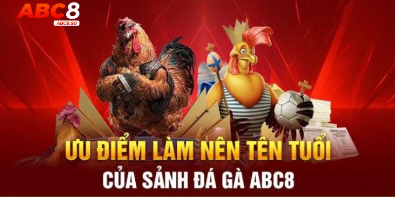 Ưu điểm khi trải nghiệm đá gà ABC8 hot đáng tham gia