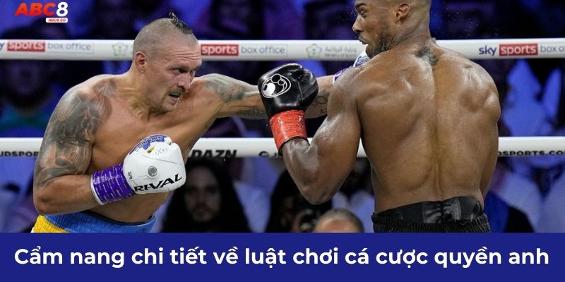 Cẩm nang chi tiết về luật chơi cá cược quyền anh